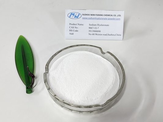 Polvo de Hyaluronato de Sódio de Alta Pureza